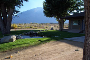 Image gallery