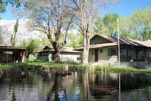 Image gallery
