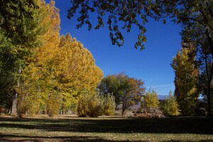 Image gallery